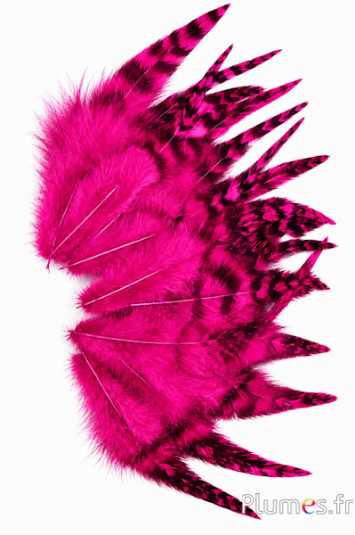 Gallo cincillà - 9-13 cm - fucsia
